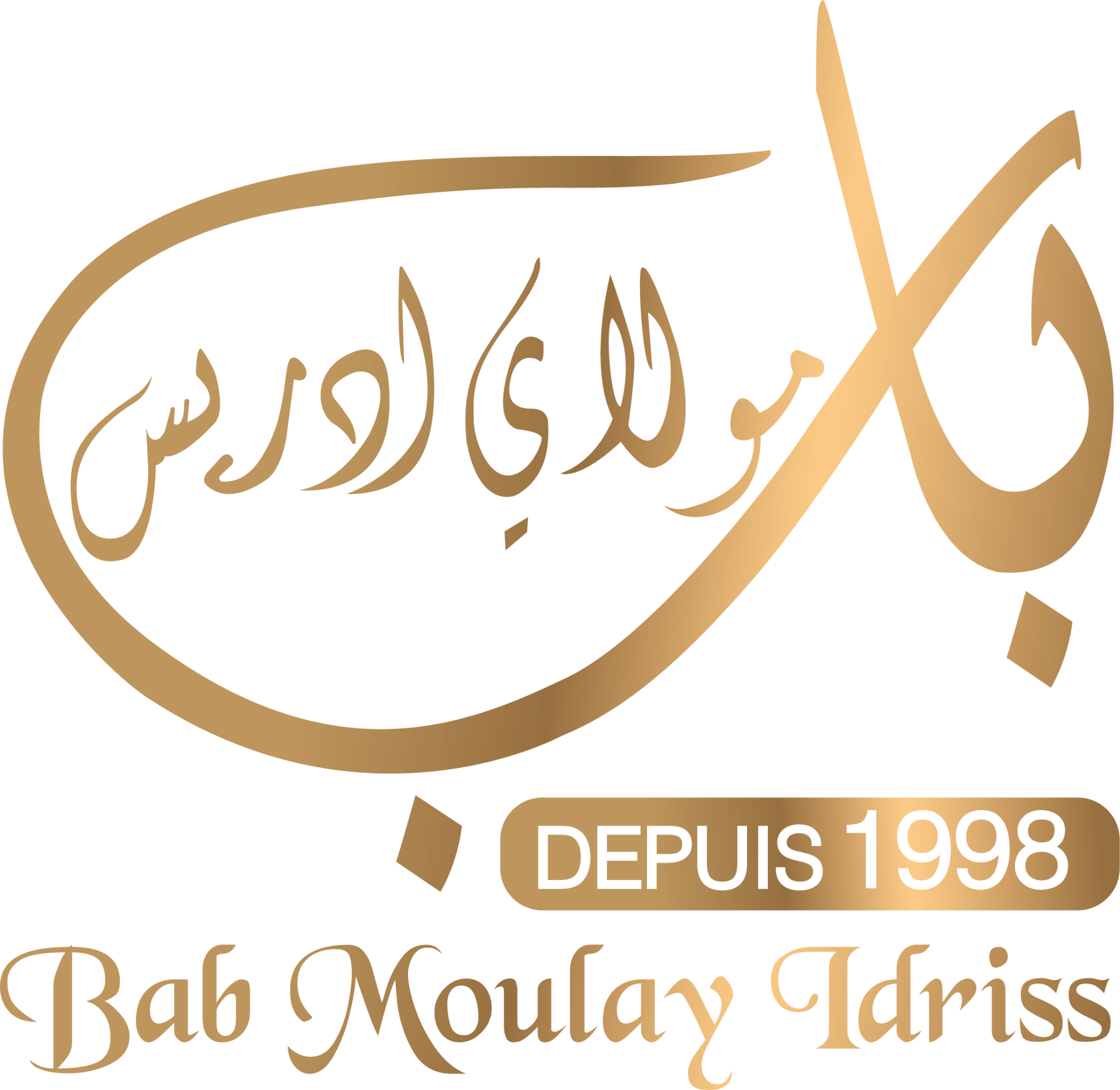 Logo Icon